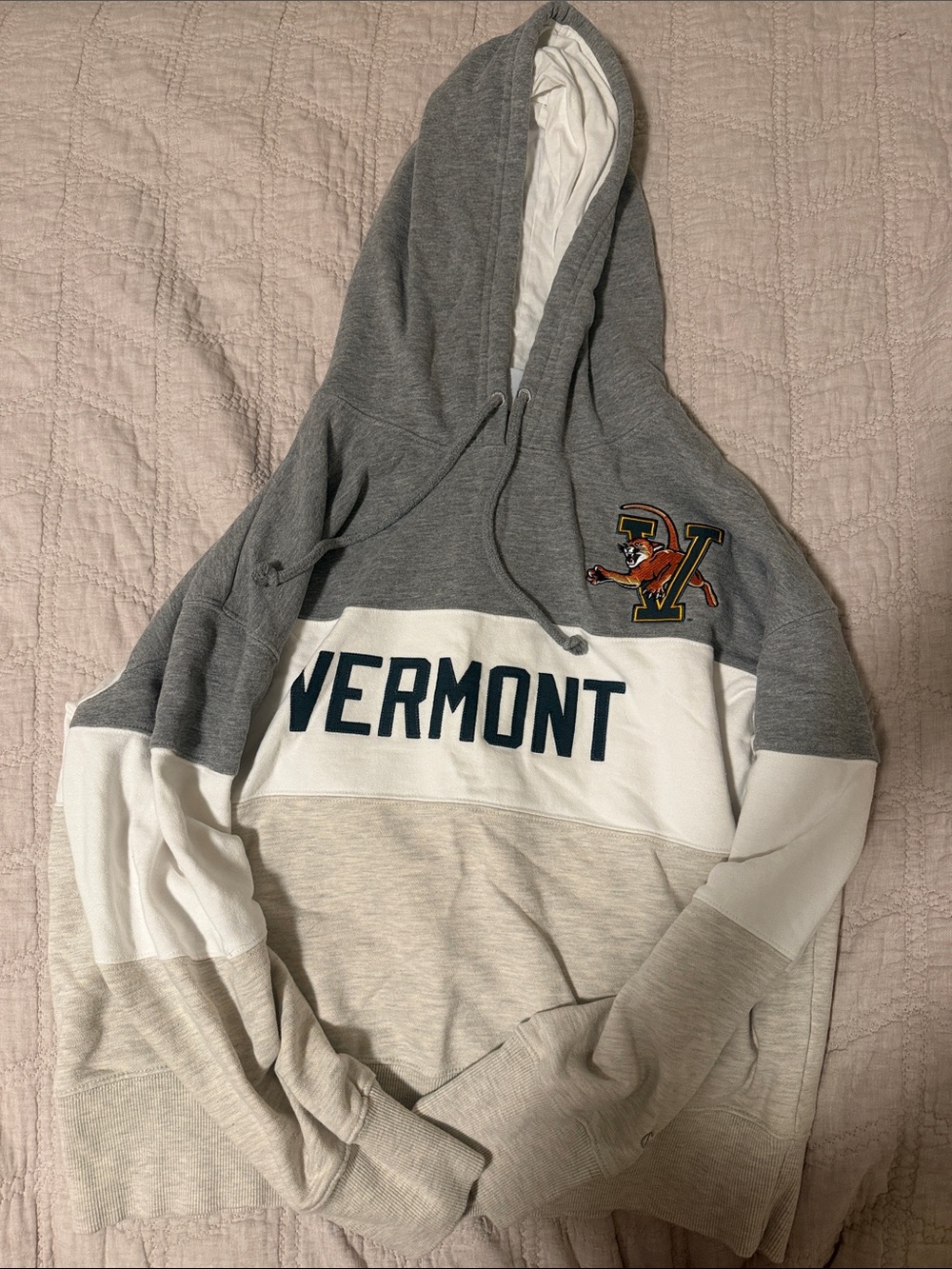 Champion Gray and White Hooded Pullover